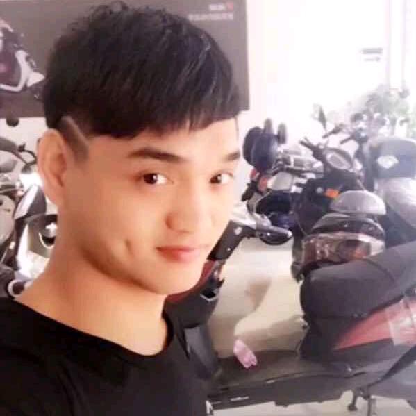 凤凰的企业。