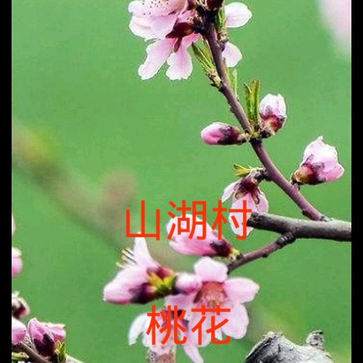 小刘饭店