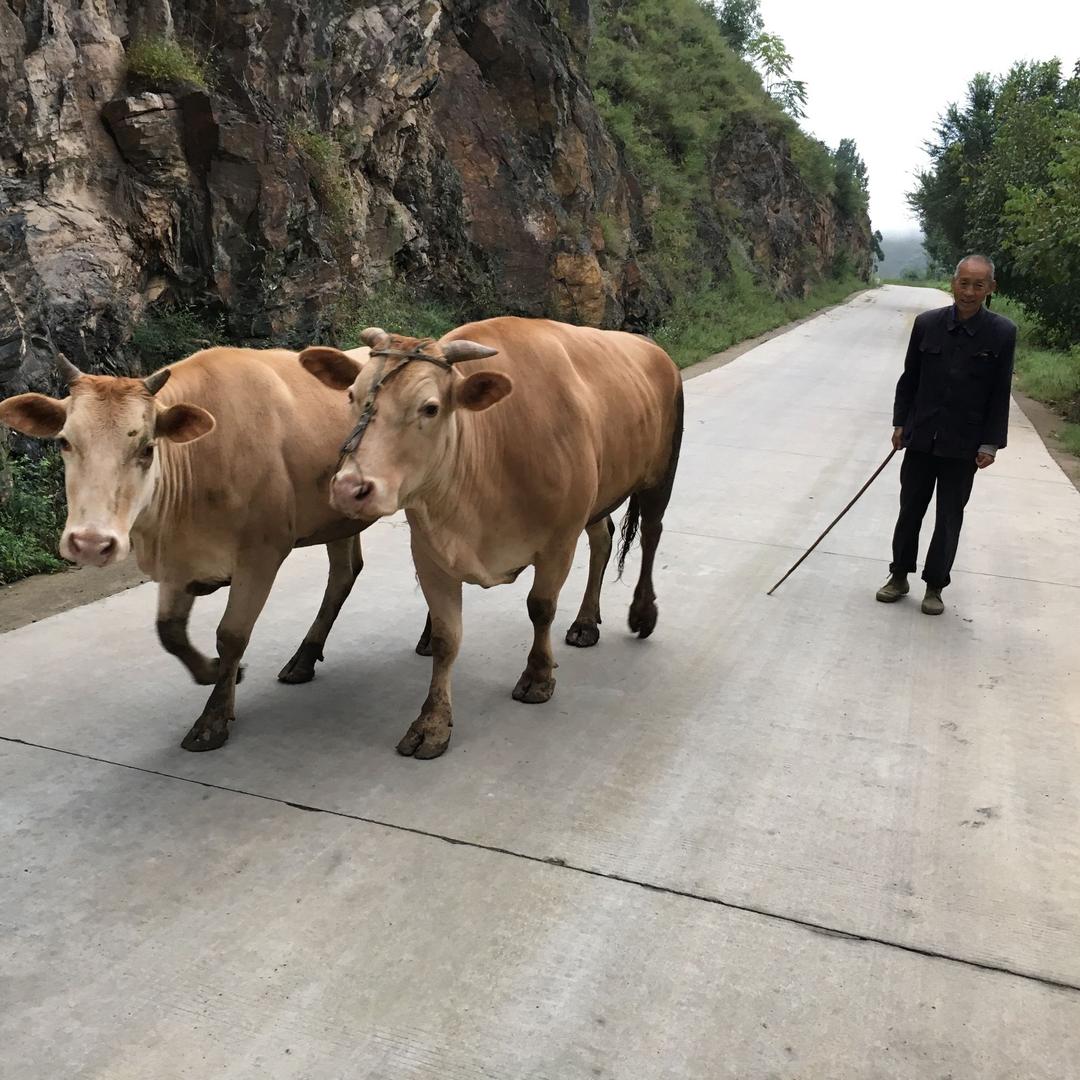 开心着 （关赞 必回）