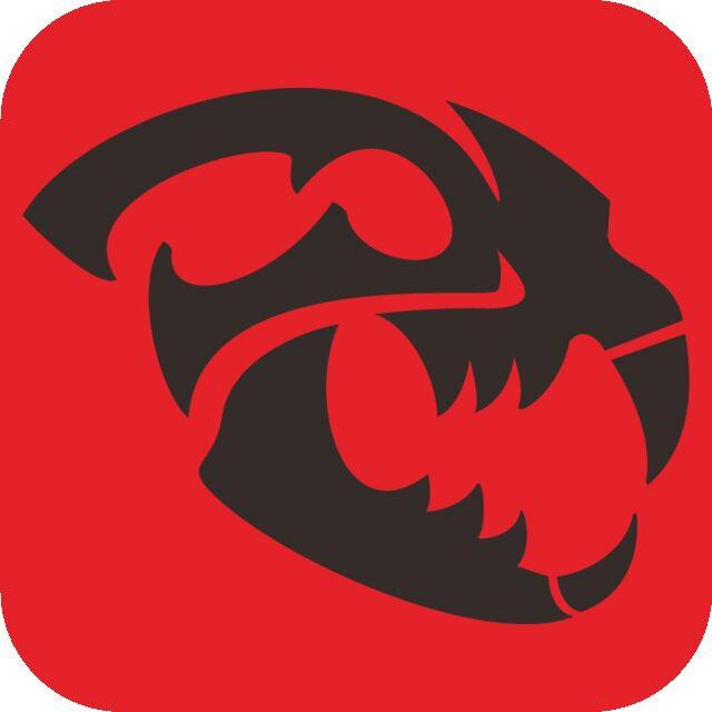 拓虎减震器TOPTIGER