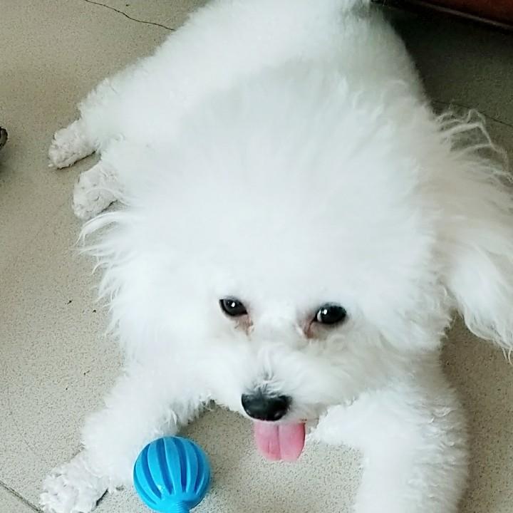 美丽的张家界