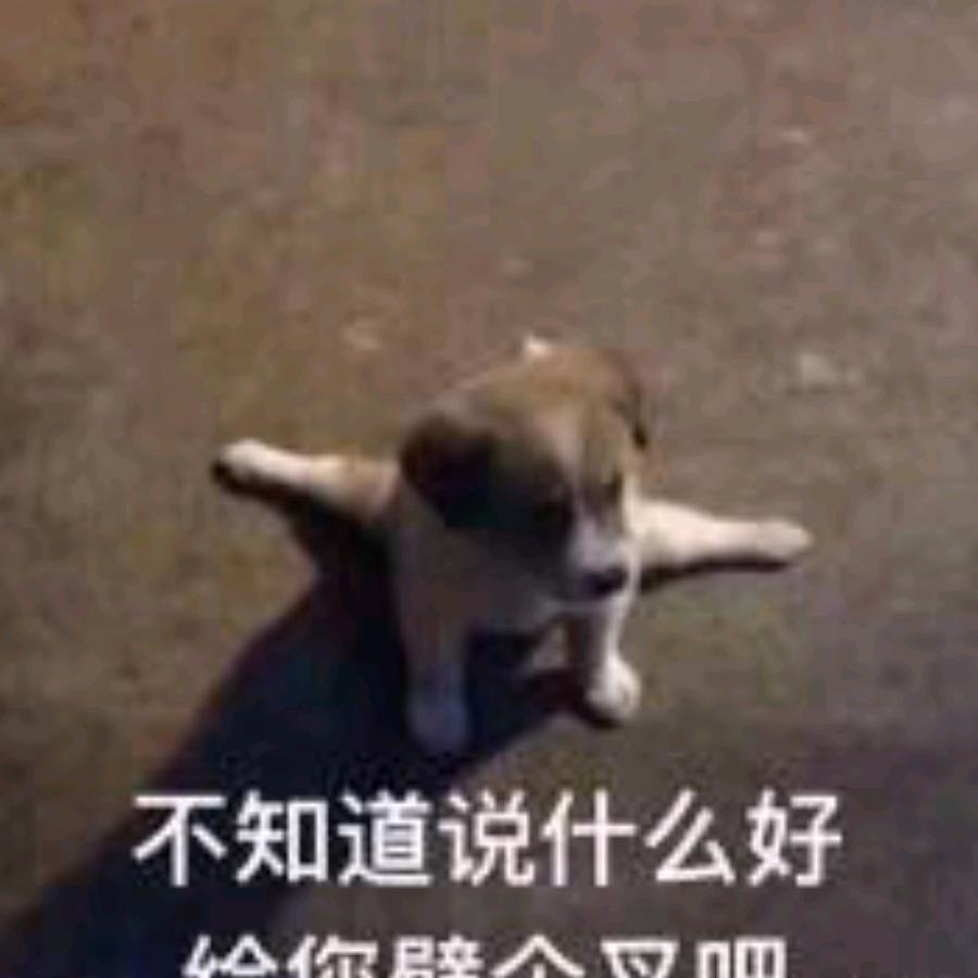 🌈小旺旺我的狗