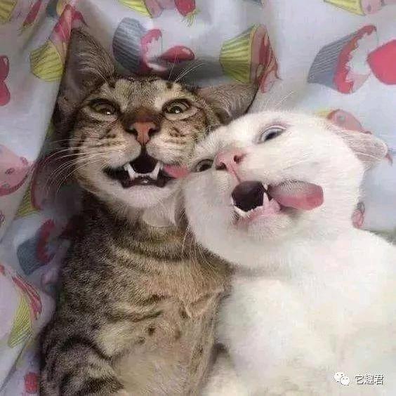 想摘了镜子看世界