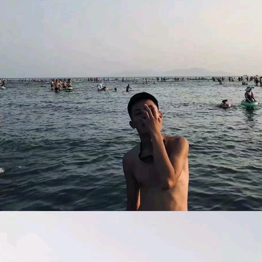 賽諨進