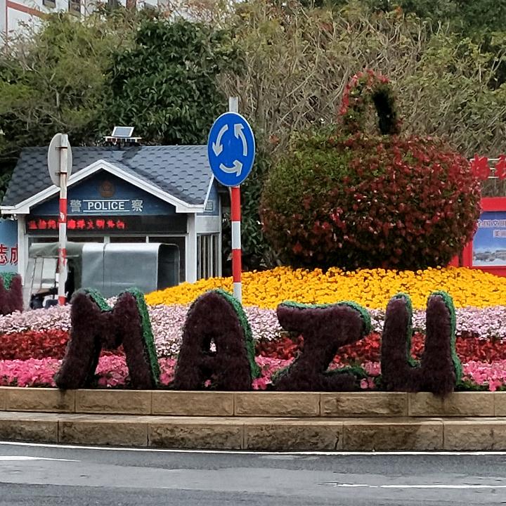 美丽无声