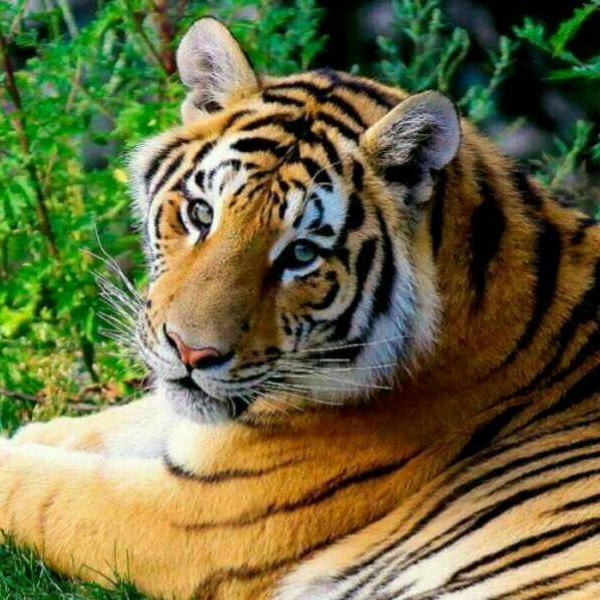 长治市城区万里车行