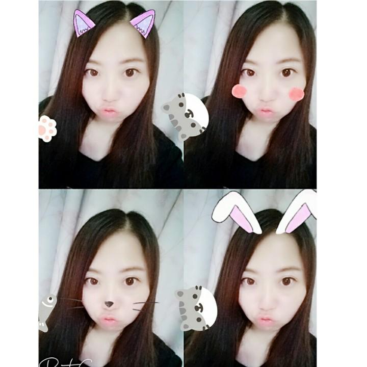 喵小鱼