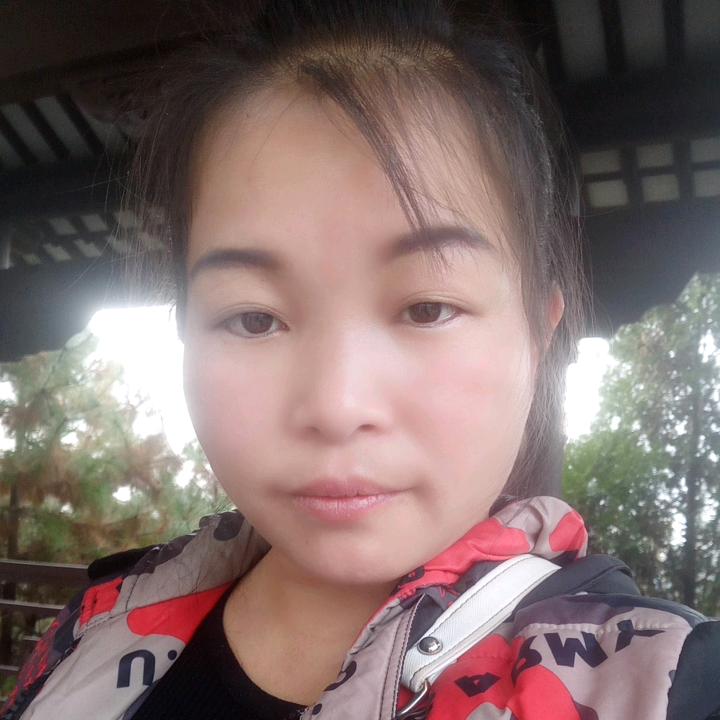 苦叶蝶