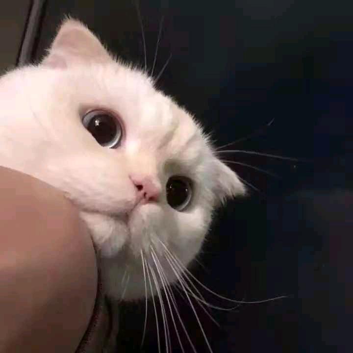 Jiang~
