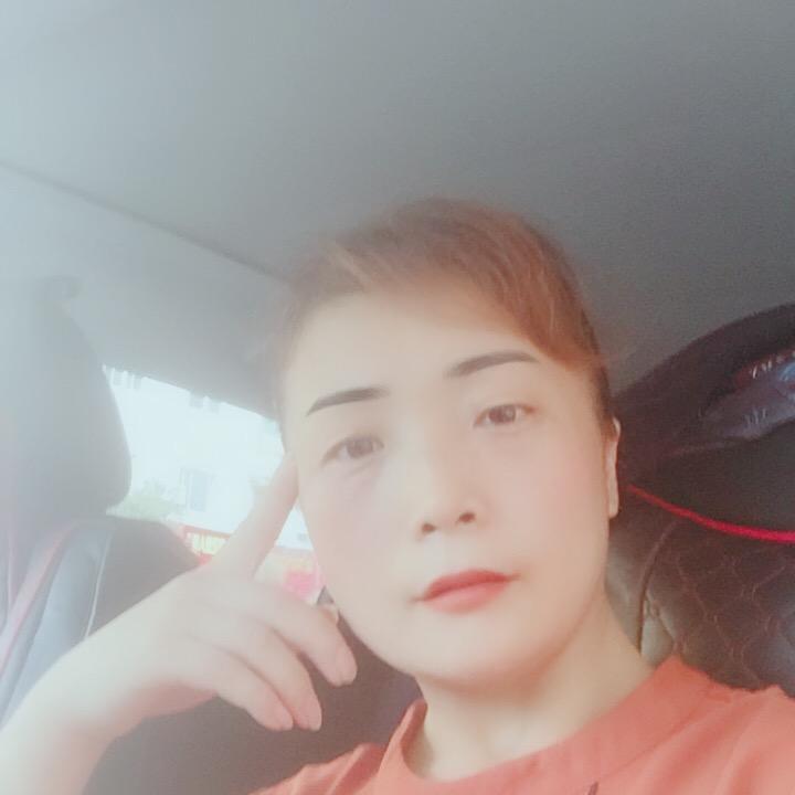 紫色郁金香