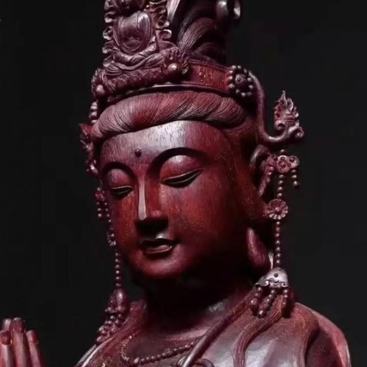 野生玩家