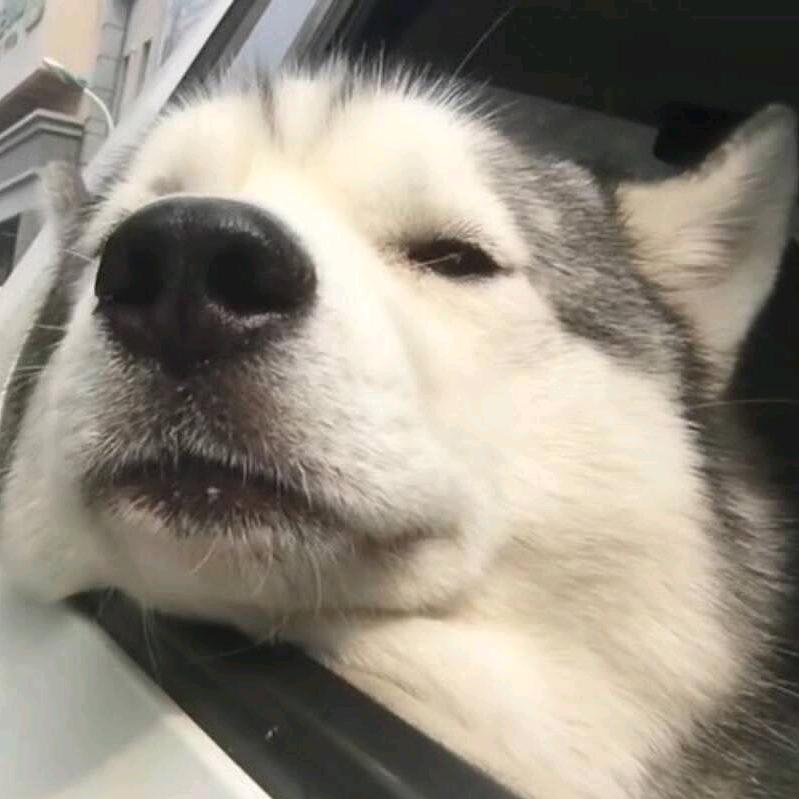 老牛、