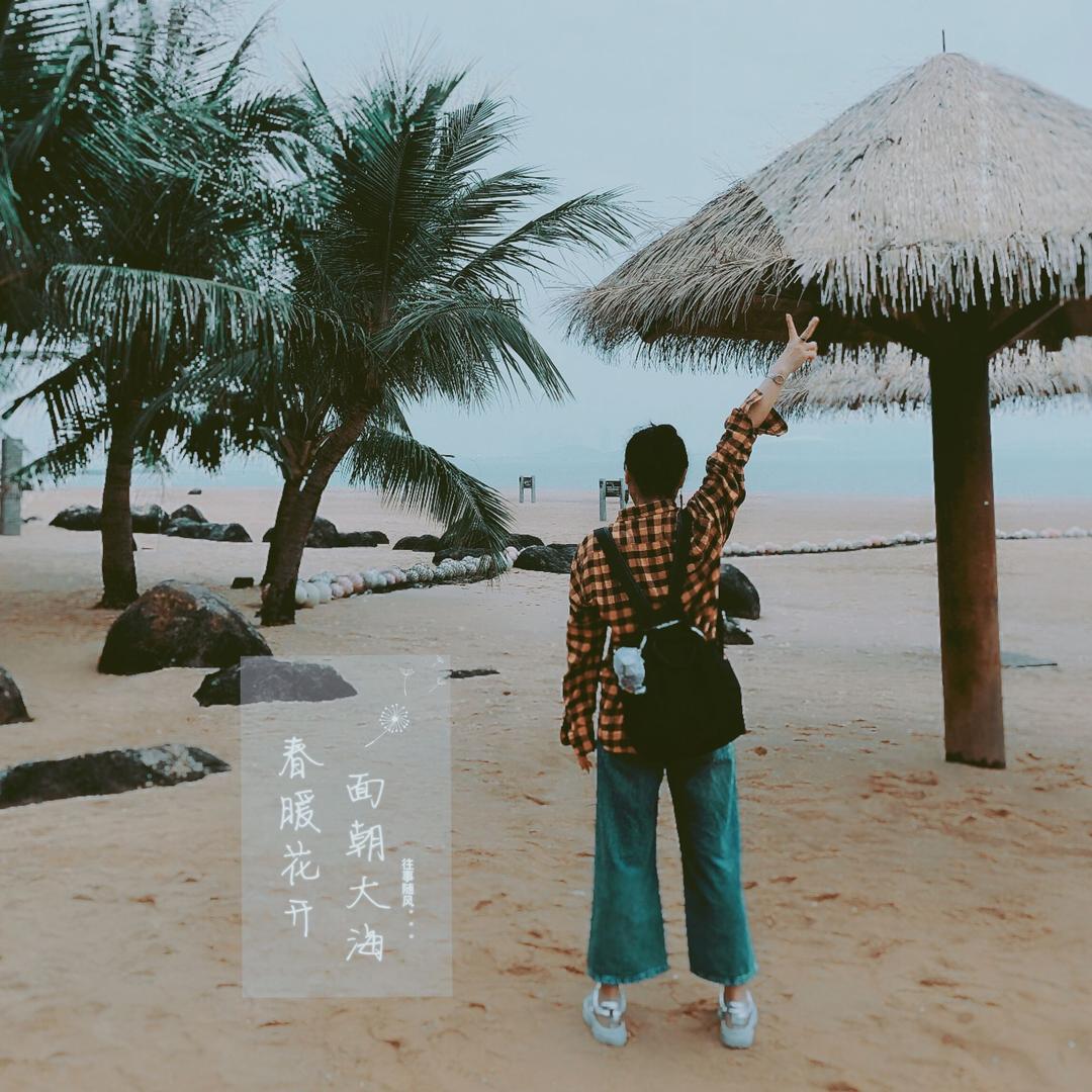 忘忧草。。。
