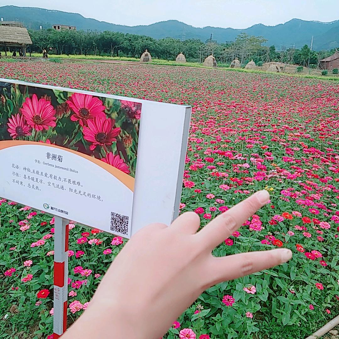 走错阳