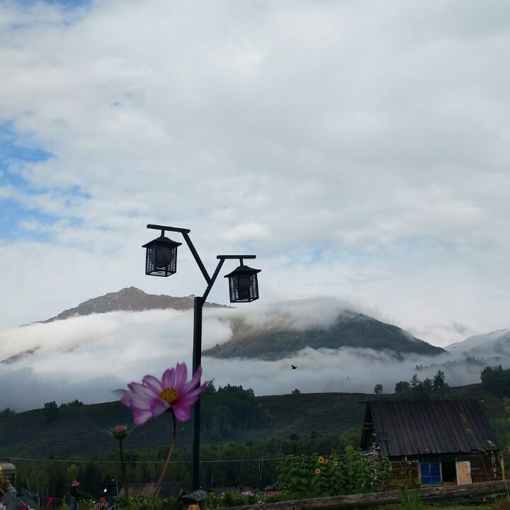 穆穆朝朝
