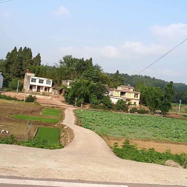 飞龙滑轨自动化