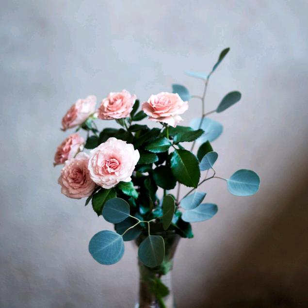 尘世中的一粒沙