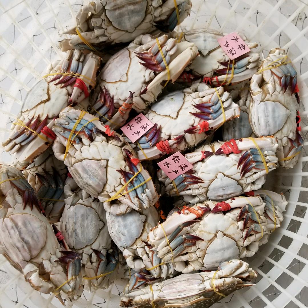 春暖花开 🦋蝴蝶自来