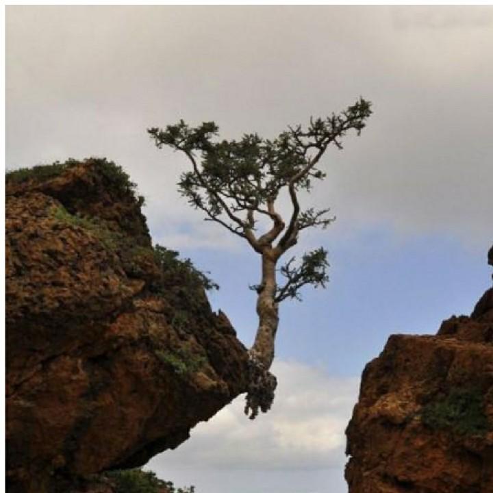 梦幻人生，，，