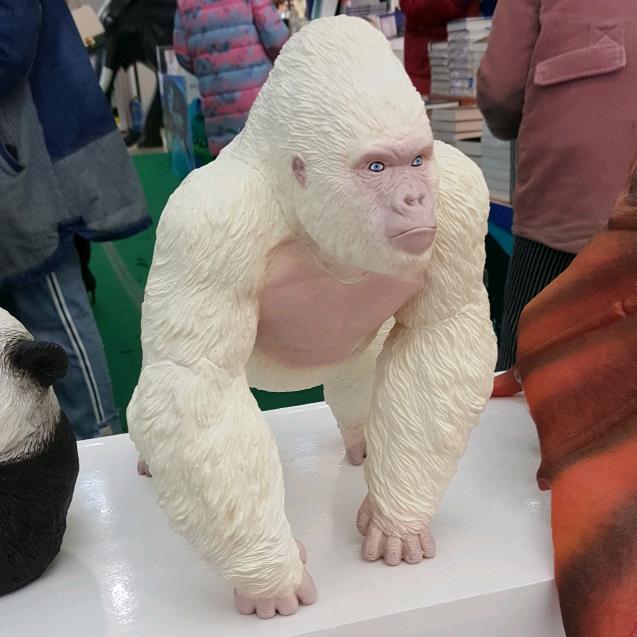 仰望那过去的事