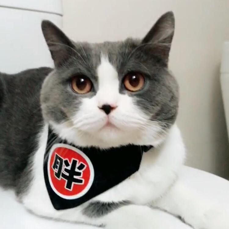 拆二代胖虎很嚣张@抖音