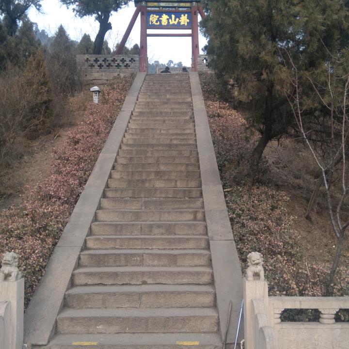 W飞