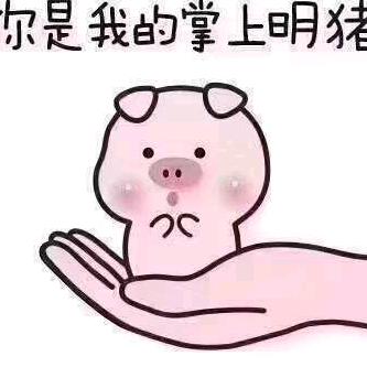 你是我的掌上明猪