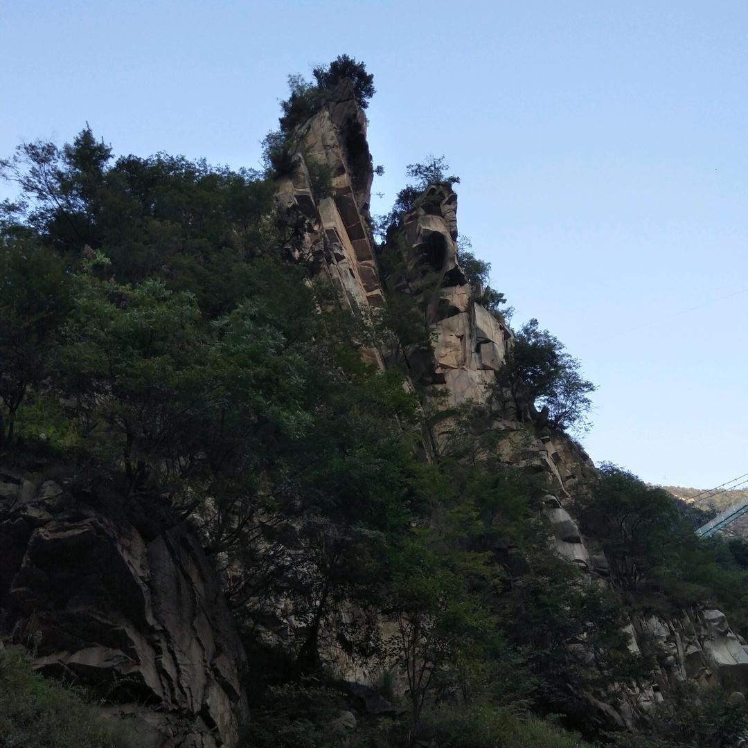 辉哥