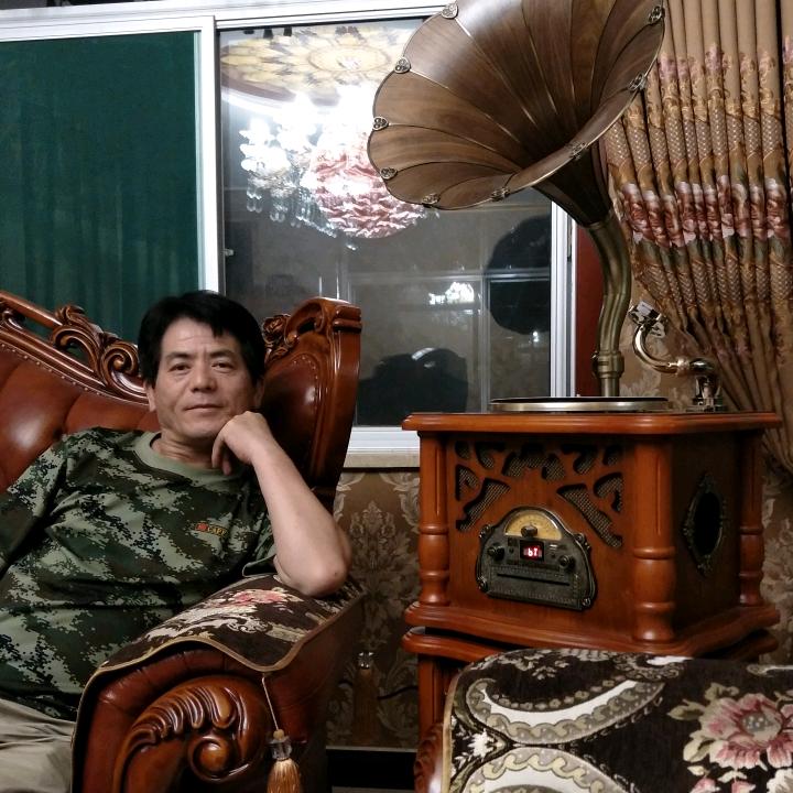 秦川牛牛