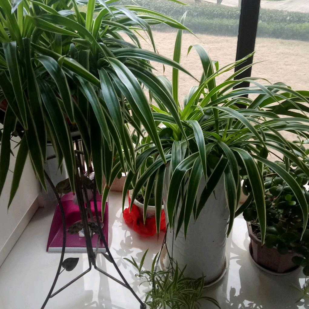 相信明天更美好