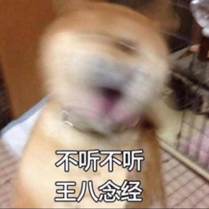 我不听不听
