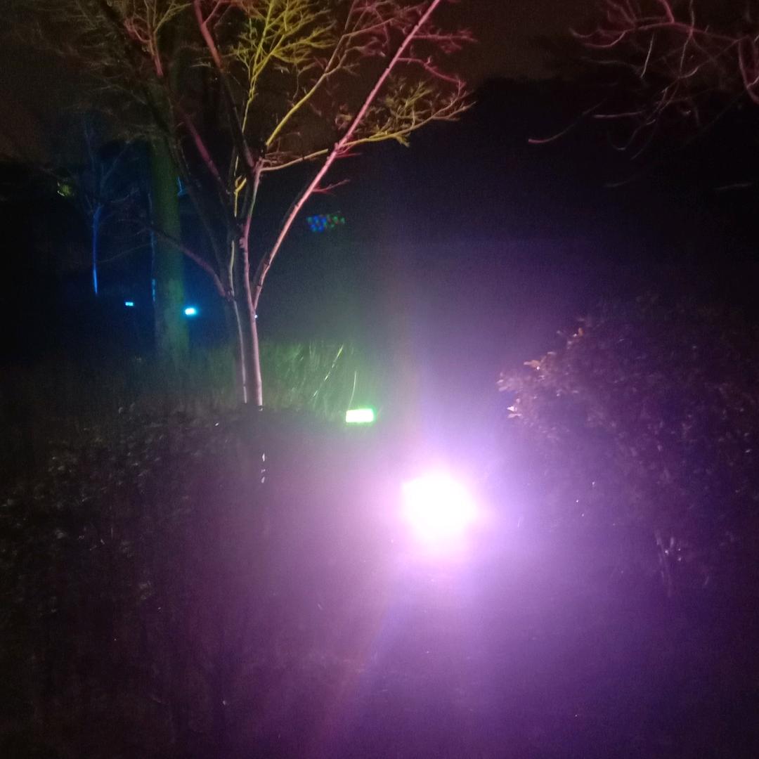 春天里的雨🌷🌷何
