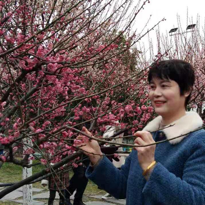 鱼羊