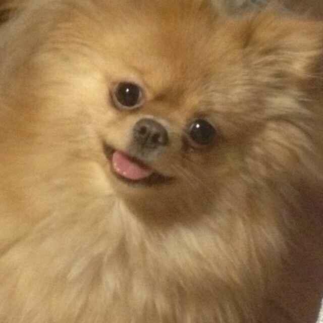 清风伊人