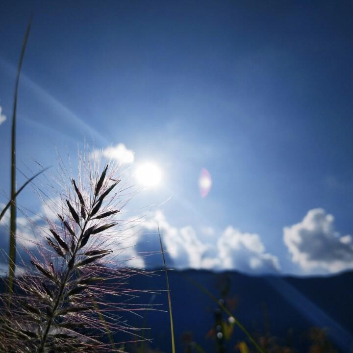真幸福❣️