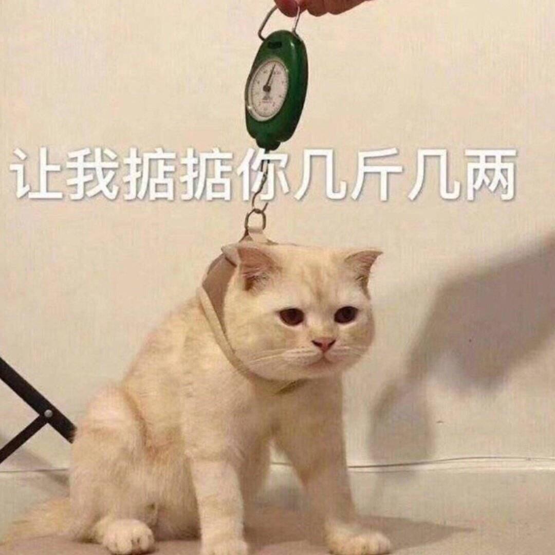 囧神