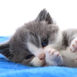 এ᭄ꦿ惠এ⁵²⁰᭄…