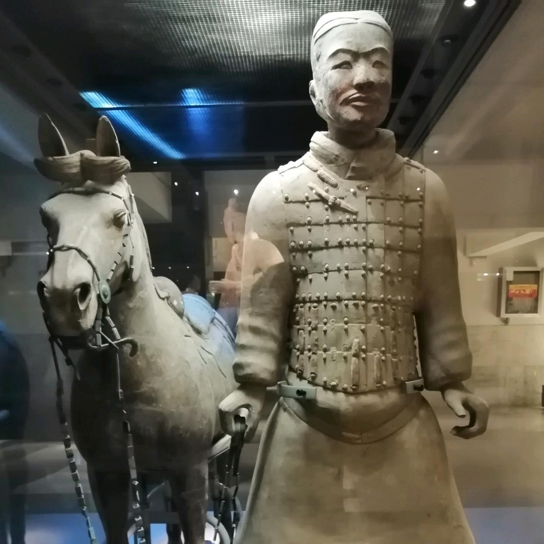 像风一样的自由
