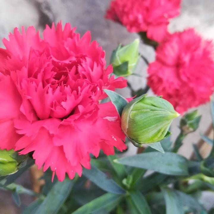 岁月变迁