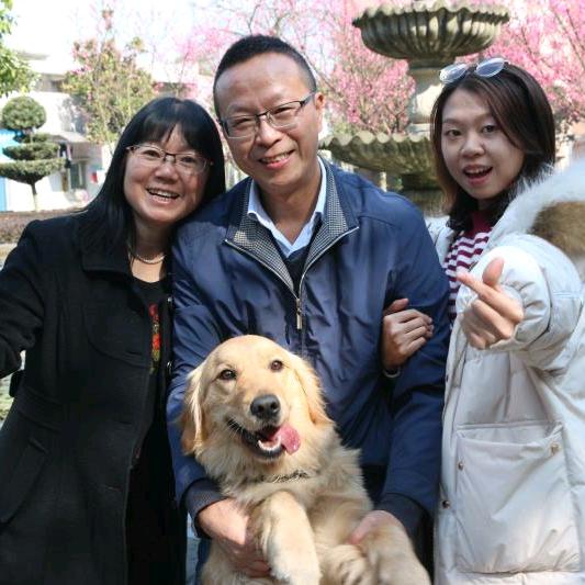 金毛Jerry