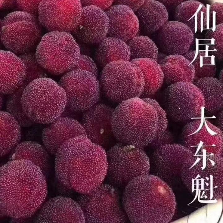 努力拼搏就好