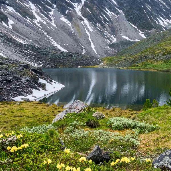 (鄧)懂你，门窗兄弟