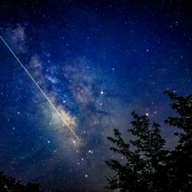 浅雨（三角洲行动）