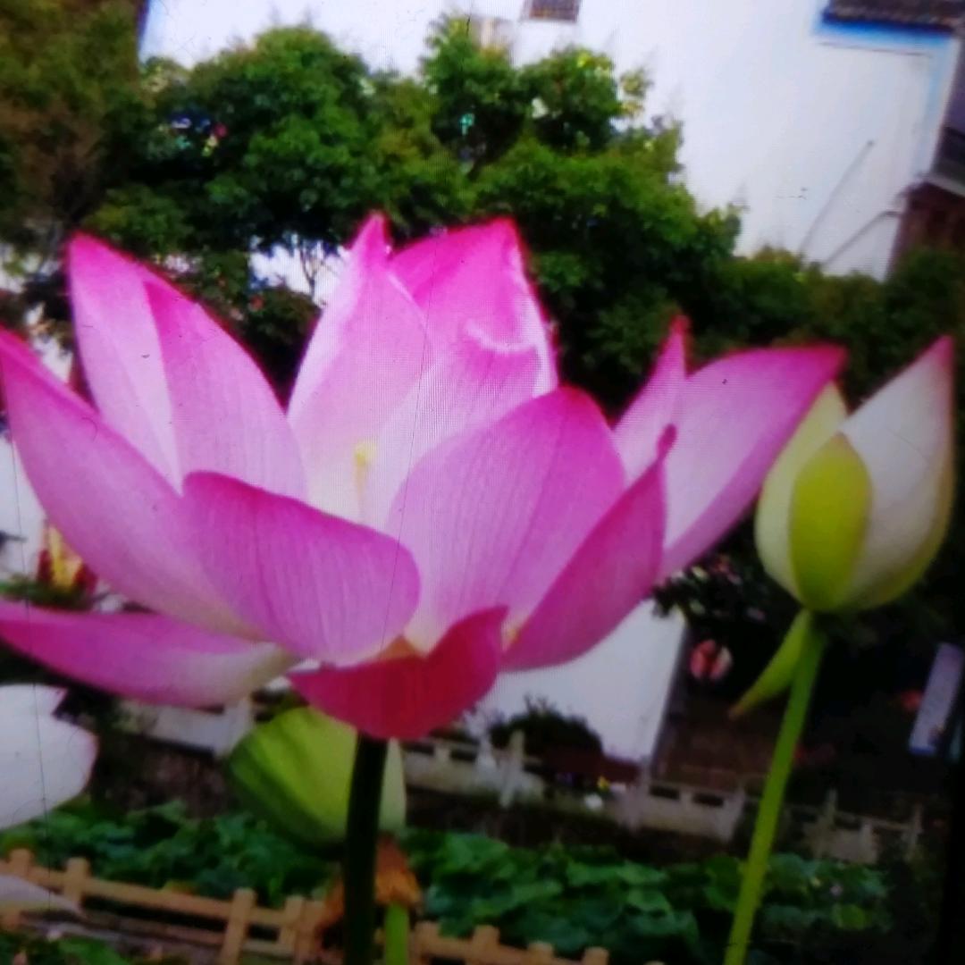 开心过好每一天