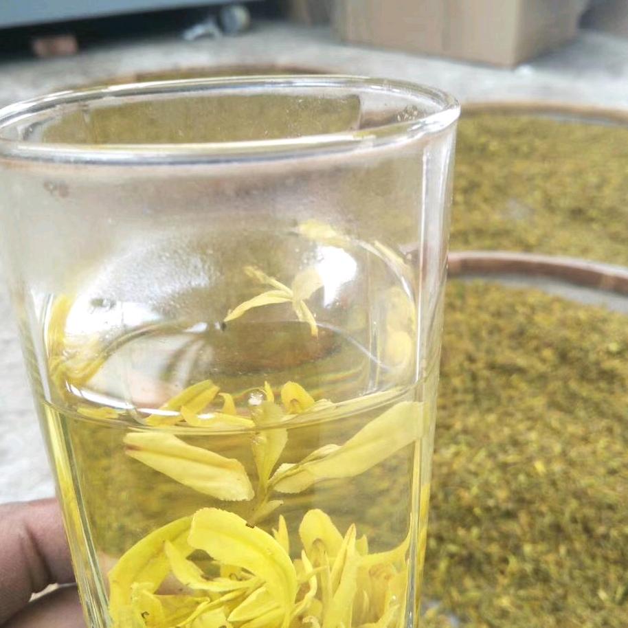荥经官山云雾茶厂