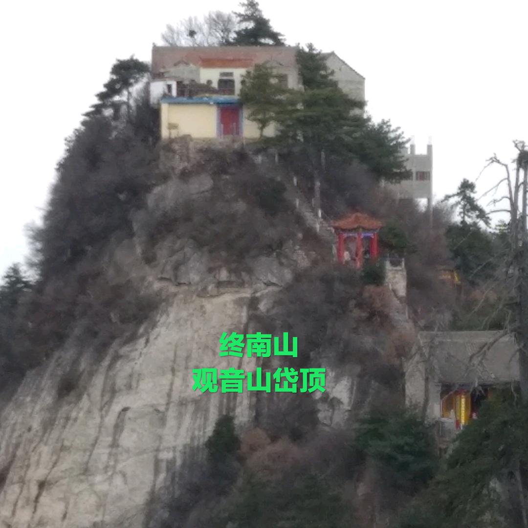 百卉含英
