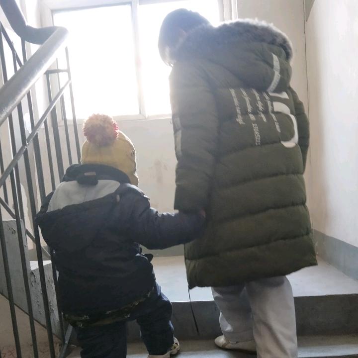 燕尾蝶
