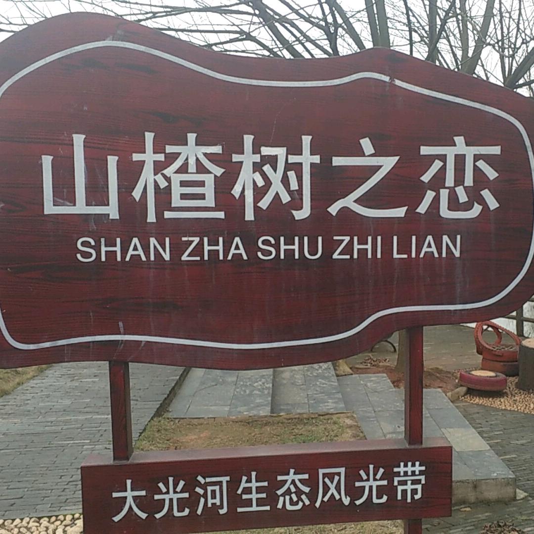 只吃饭，不洗碗。