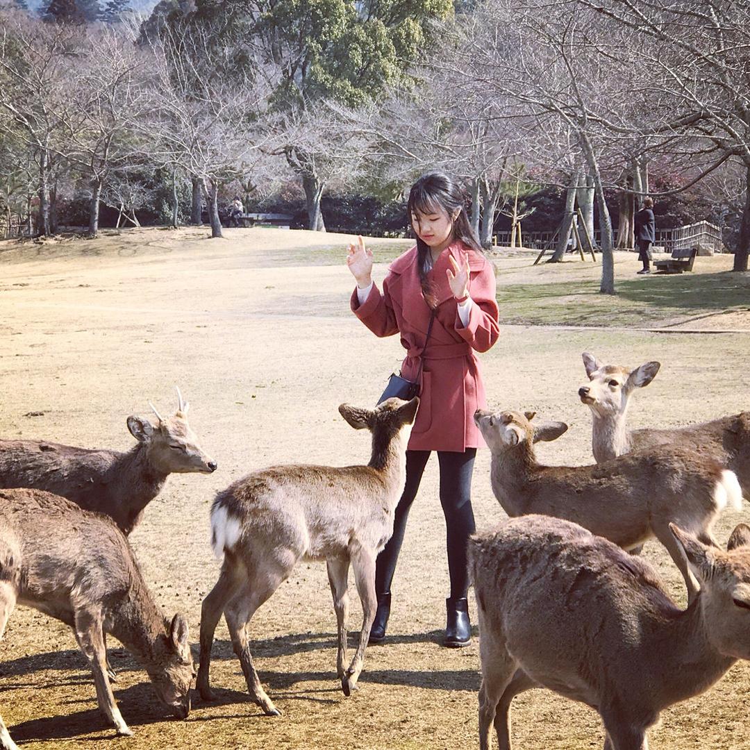 一只·杨咩咩🐑