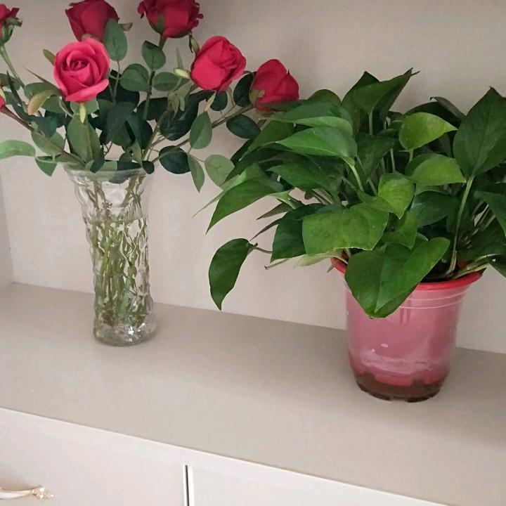 迷路了 你就往前走